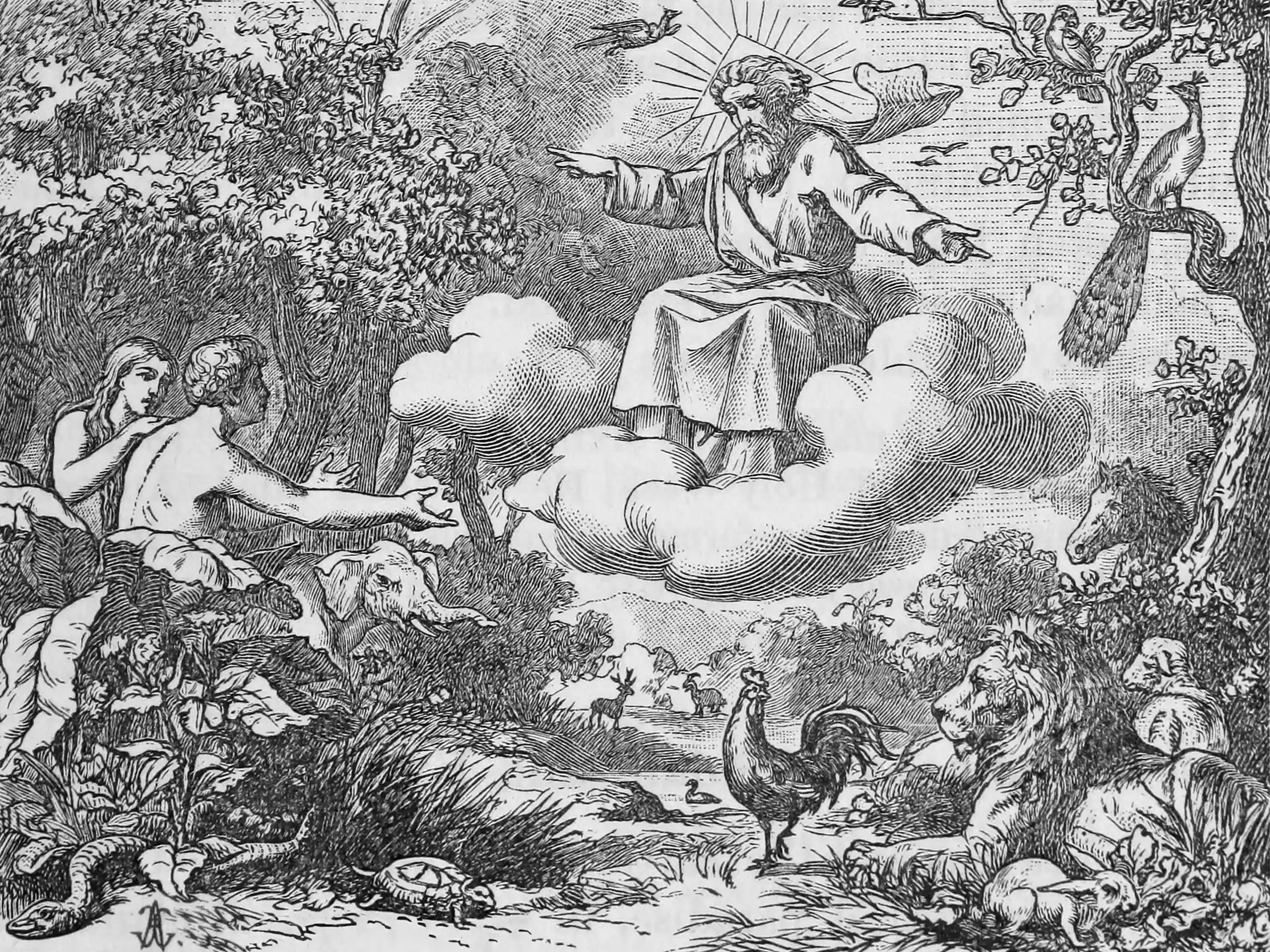 Klassieke gravure: Schepping