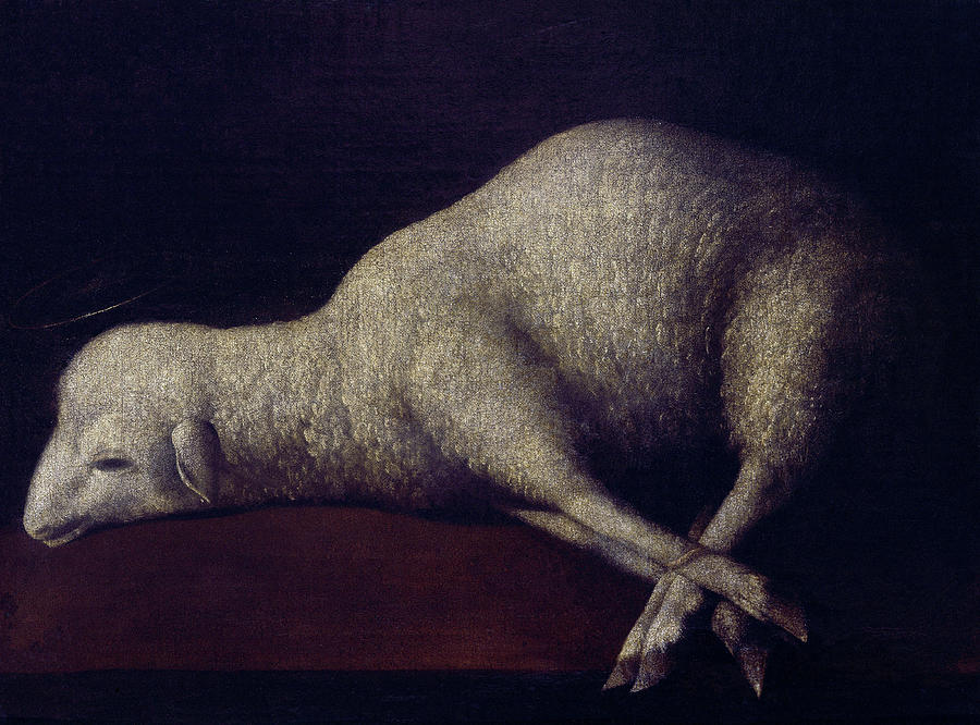 Francisco de Zurbarán — Agnus Dei (ca. 1636–1640)