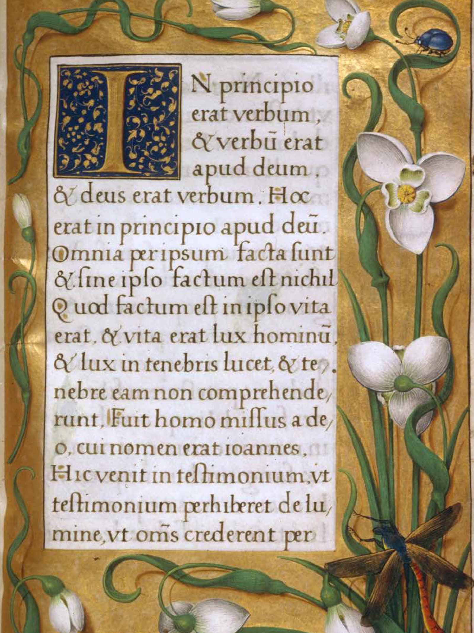Illuminatie bij het begin van het Evangelie volgens Johannes
