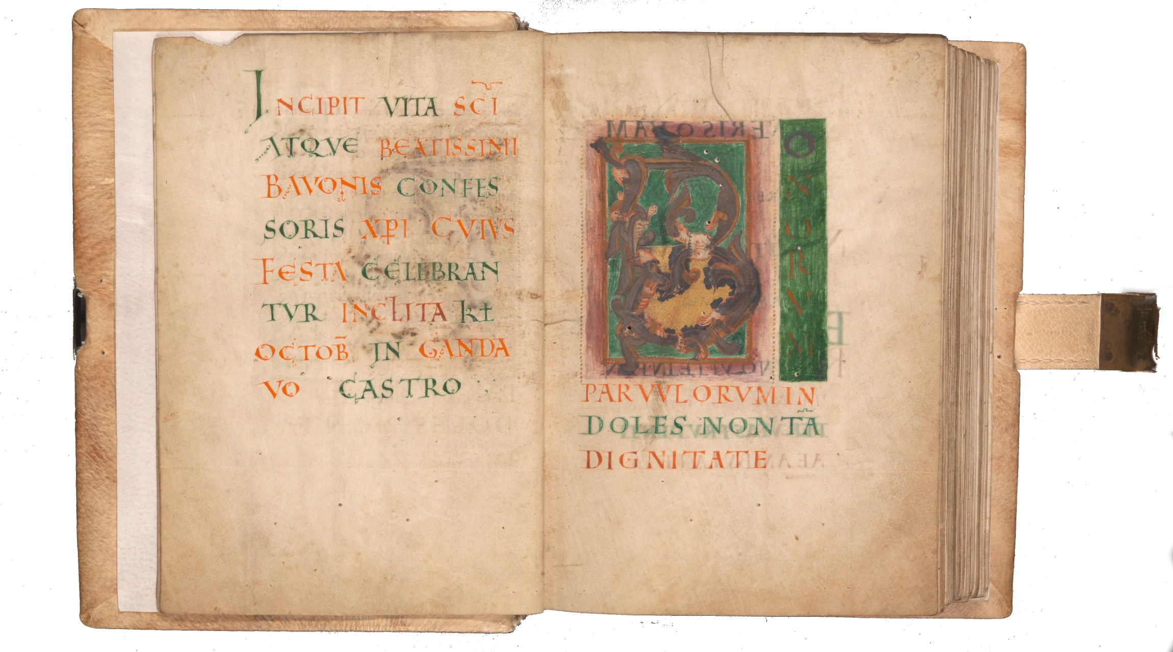 Begin van het middeleeuwse Vita van de H. Bavo uit de Sint-Baafsabdij te Gent