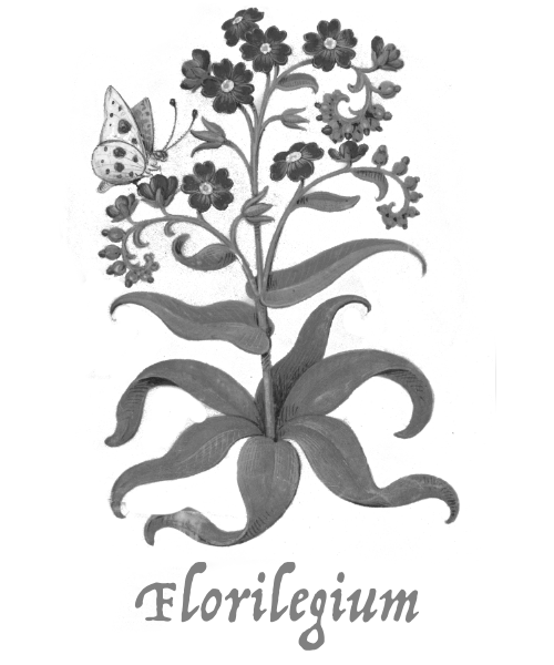 Florilegium